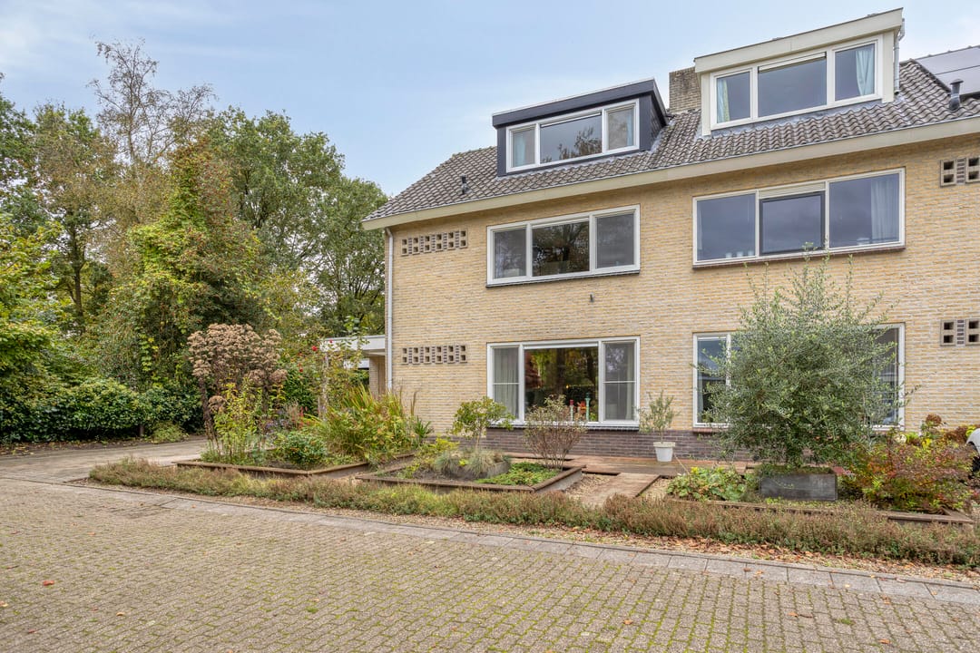 Photo 47 of Struikstuk 48