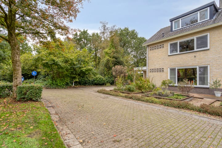 Foto 48 van Struikstuk 48