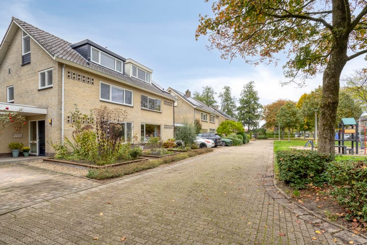 Foto 49 van Struikstuk 48