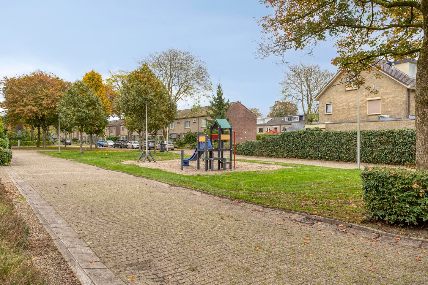 Photo 50 of Struikstuk 48