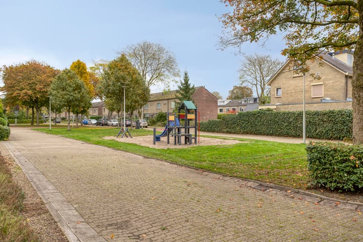 Foto 50 van Struikstuk 48