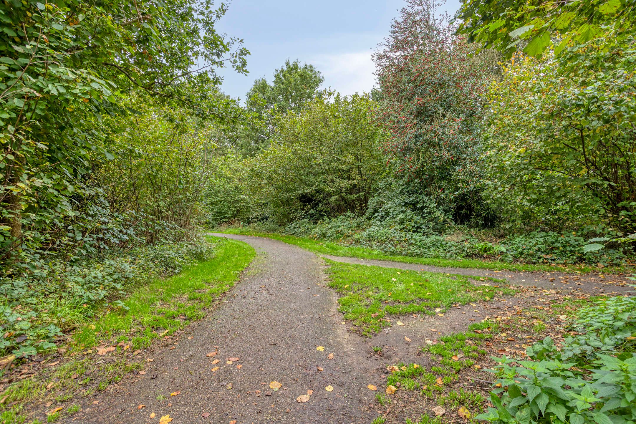 Photo 51 of Struikstuk 48