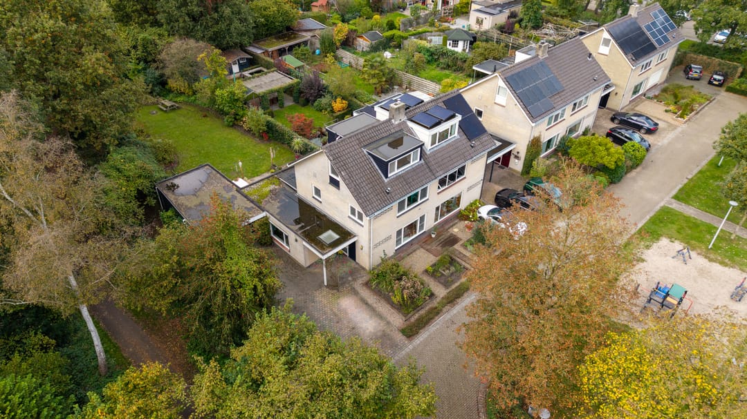 Photo 52 of Struikstuk 48