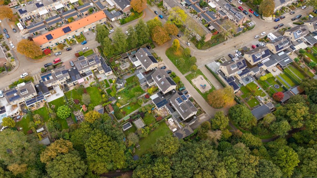 Photo 53 of Struikstuk 48