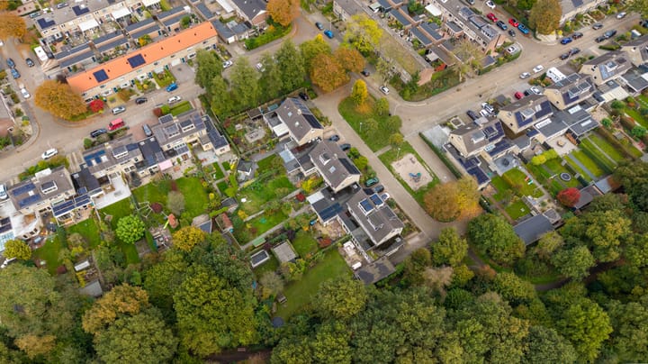 Foto 53 van Struikstuk 48