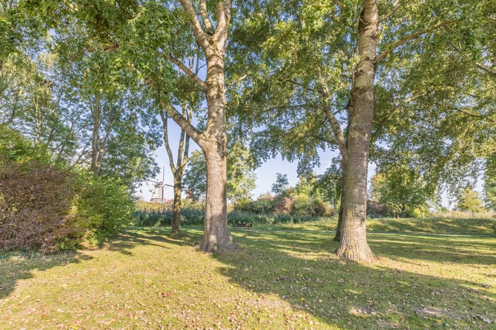 Foto 35 van Baljuwstraat 4