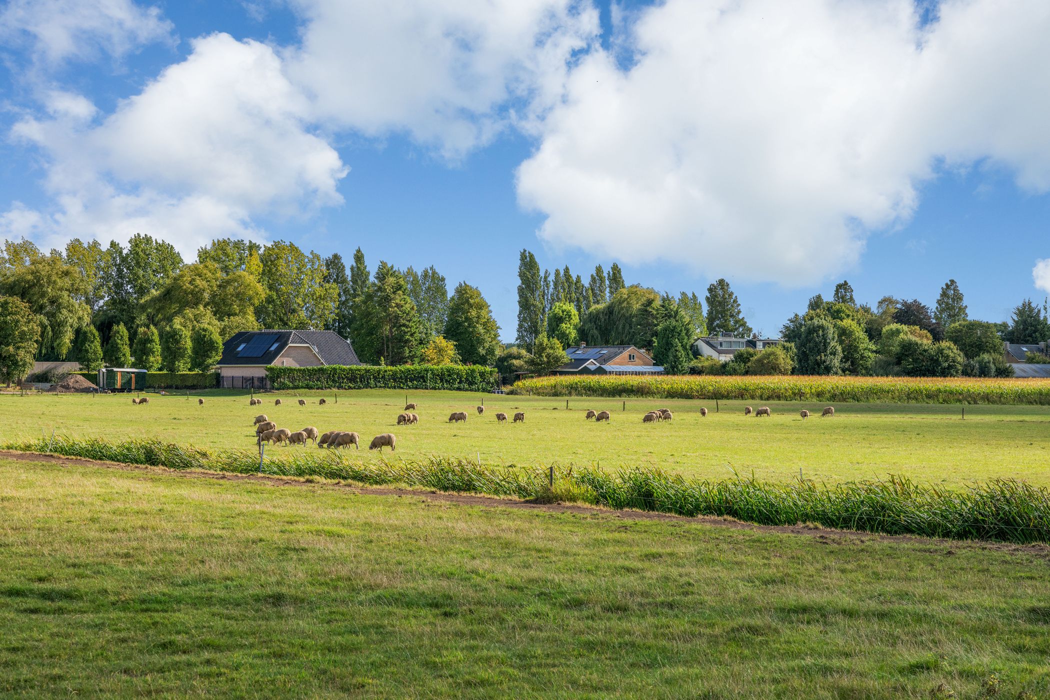 Foto 60 van Oosteindseweg 40