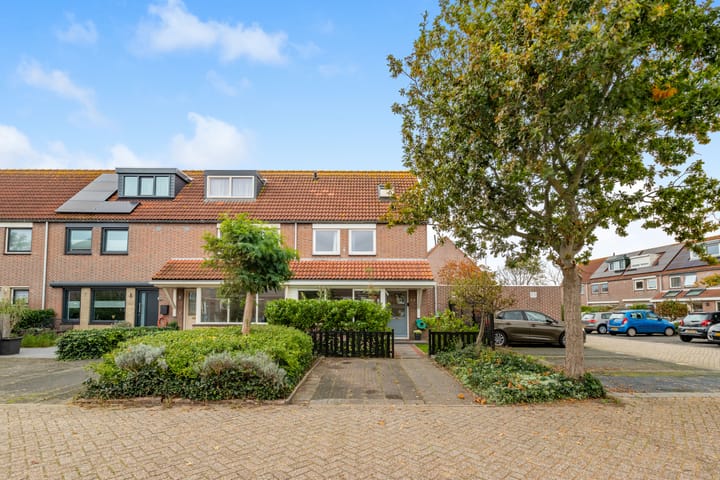 Foto 1 van Penningkruid 22