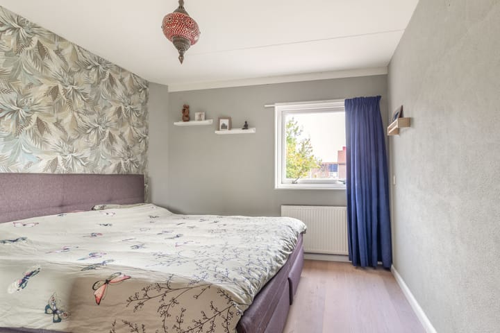 Foto 3 van Penningkruid 22