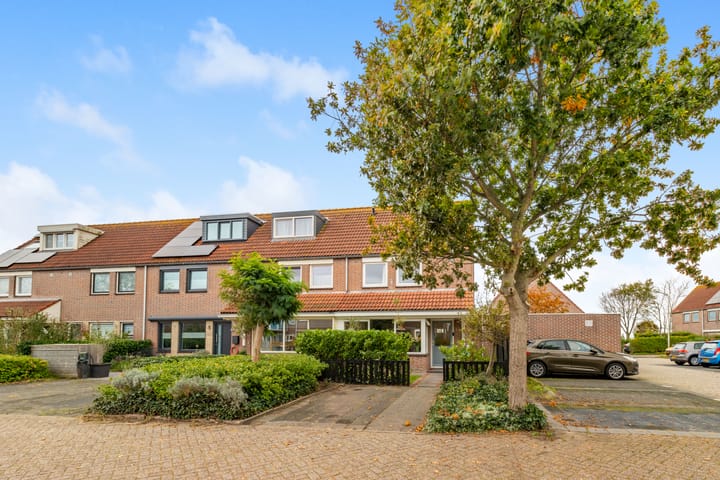 Foto 6 van Penningkruid 22