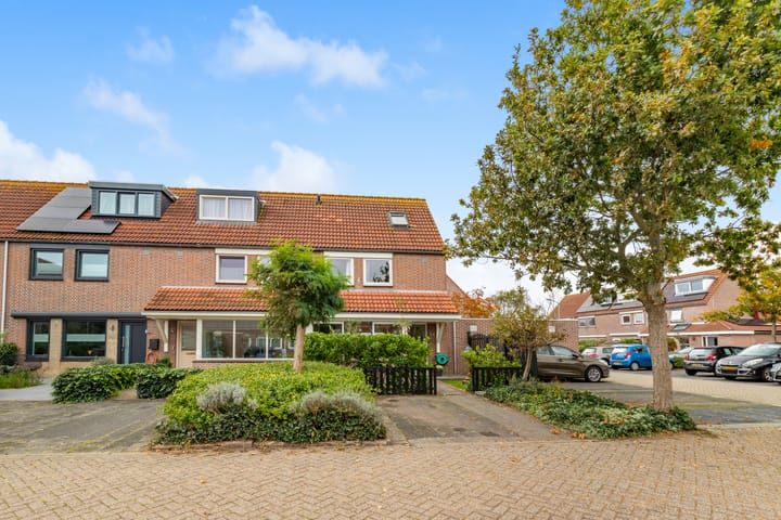 Foto 7 van Penningkruid 22