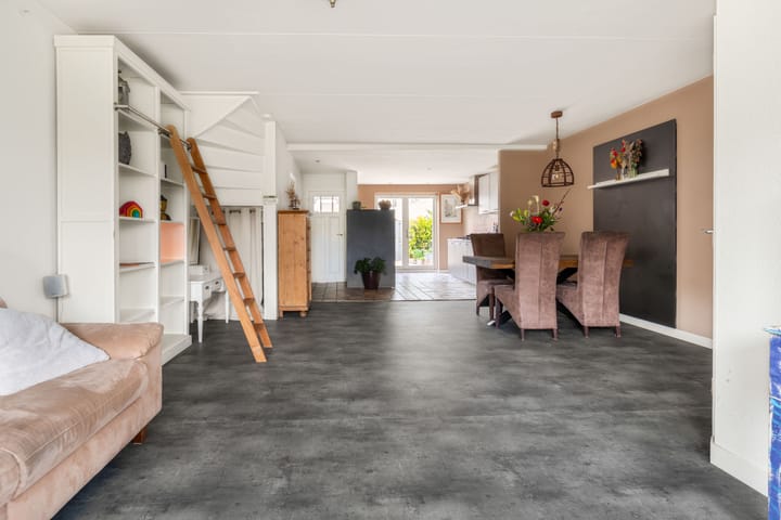 Foto 9 van Penningkruid 22