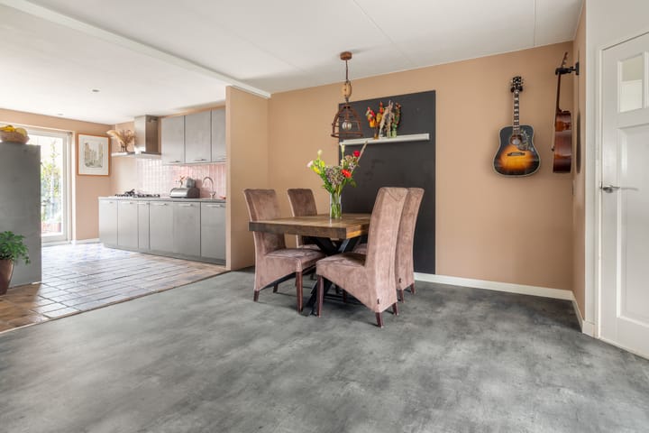 Foto 12 van Penningkruid 22