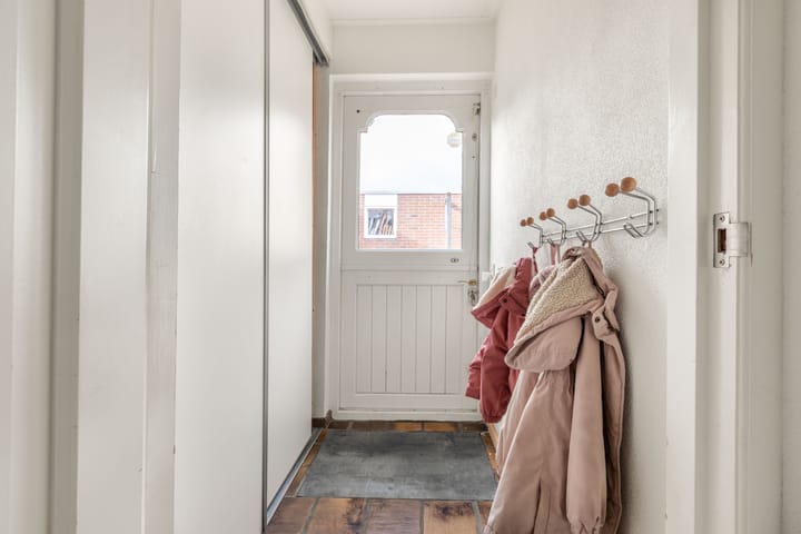 Foto 20 van Penningkruid 22