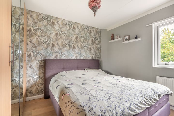 Foto 24 van Penningkruid 22