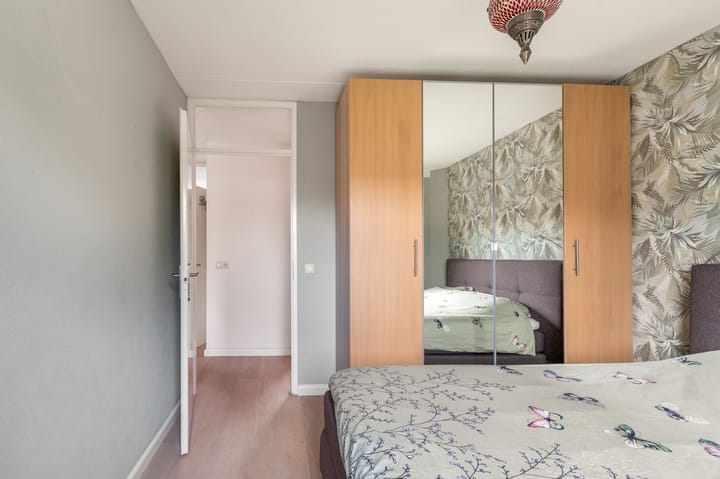 Foto 25 van Penningkruid 22