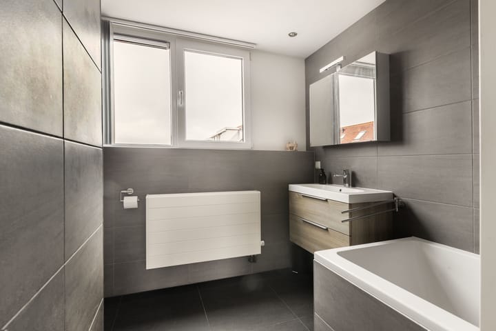 Foto 32 van Penningkruid 22