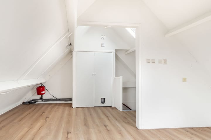 Foto 36 van Penningkruid 22