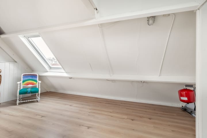 Foto 38 van Penningkruid 22