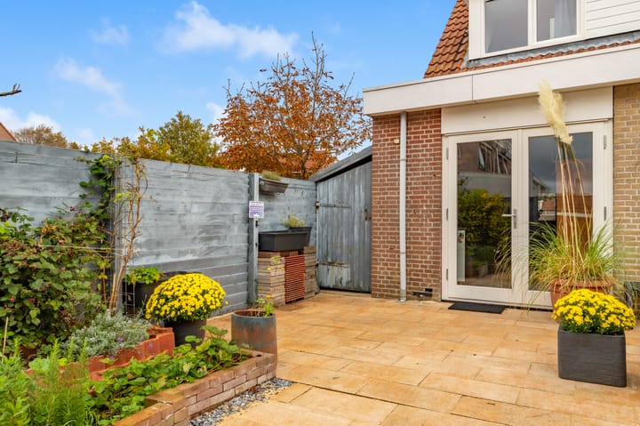 Foto 41 van Penningkruid 22