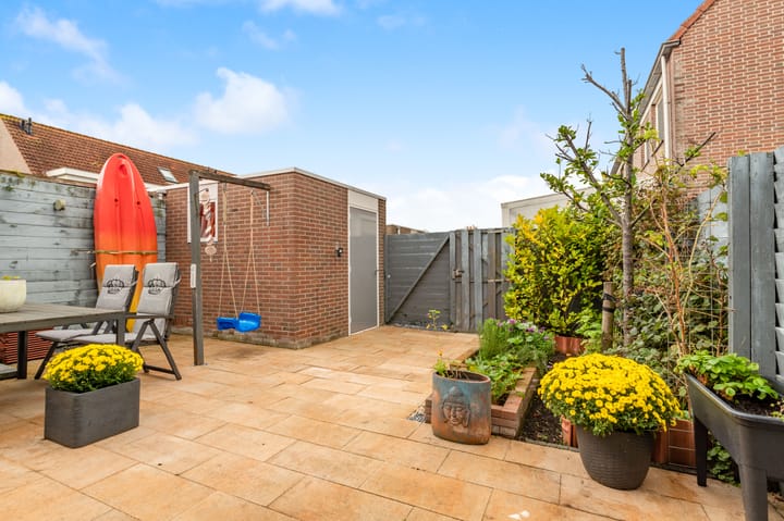 Foto 42 van Penningkruid 22