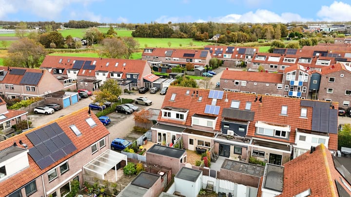 Foto 48 van Penningkruid 22