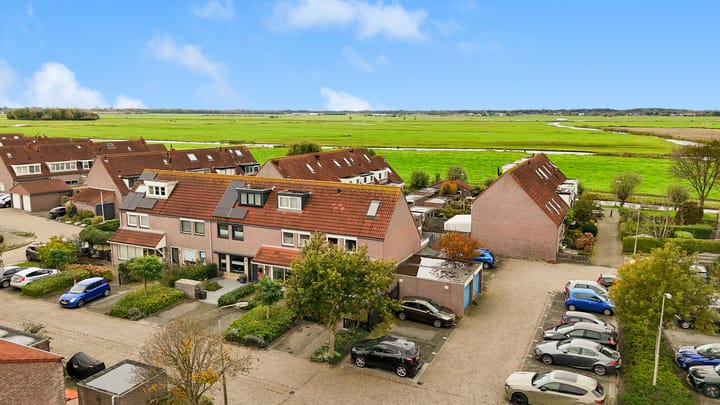 Foto 50 van Penningkruid 22