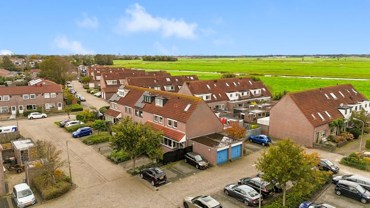 Foto 51 van Penningkruid 22