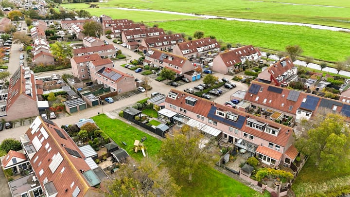 Foto 52 van Penningkruid 22