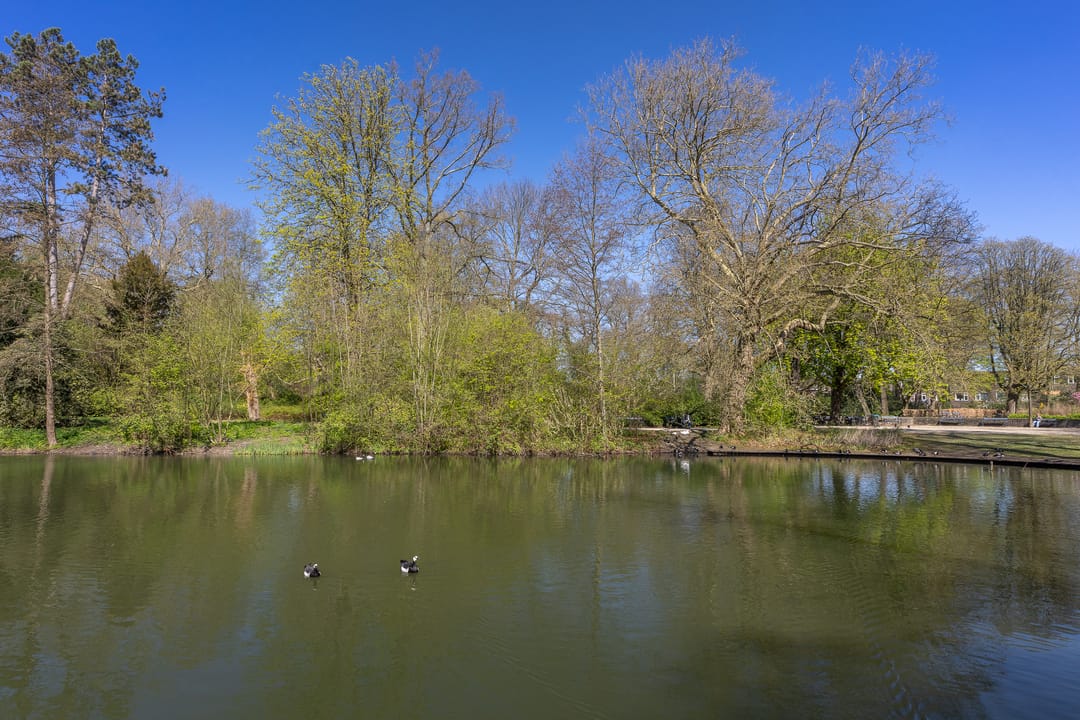 Photo 38 of Adelboldstraat 2