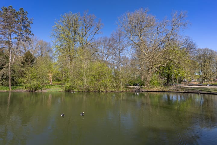 Foto 38 van Adelboldstraat 2