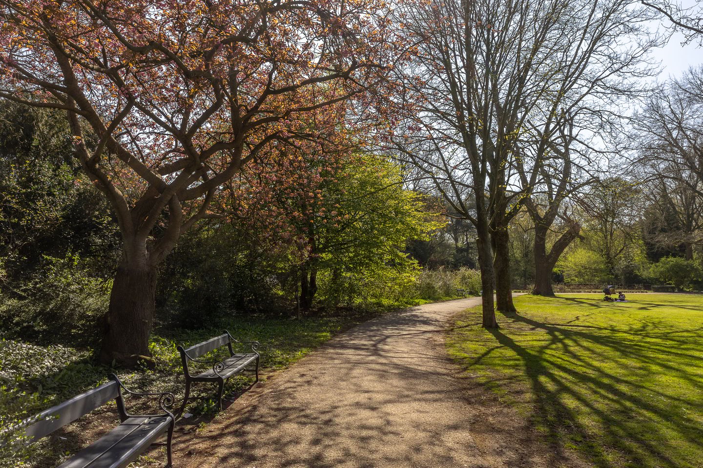 Photo 40 of Adelboldstraat 2