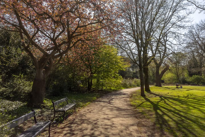 Foto 40 van Adelboldstraat 2