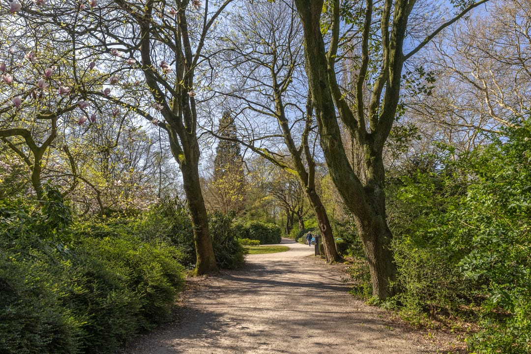 Photo 41 of Adelboldstraat 2