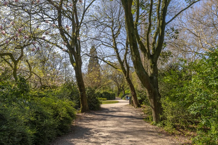 Foto 41 van Adelboldstraat 2