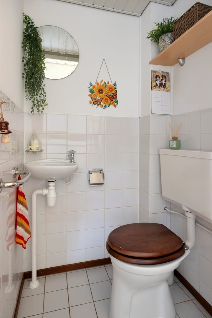 Foto 8 van De IJslander 22