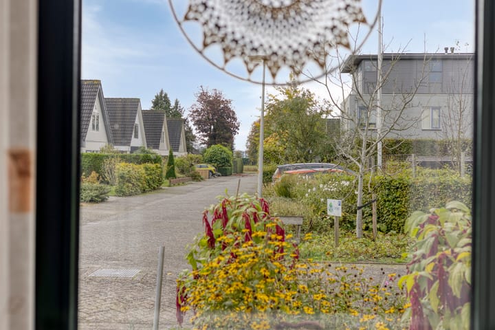 Foto 23 van De IJslander 22