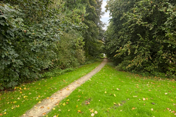 Foto 35 van De IJslander 22