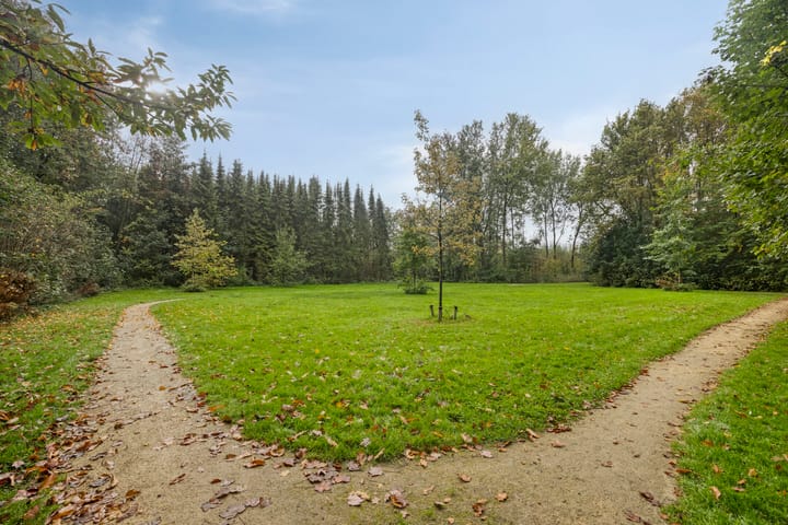 Foto 36 van De IJslander 22