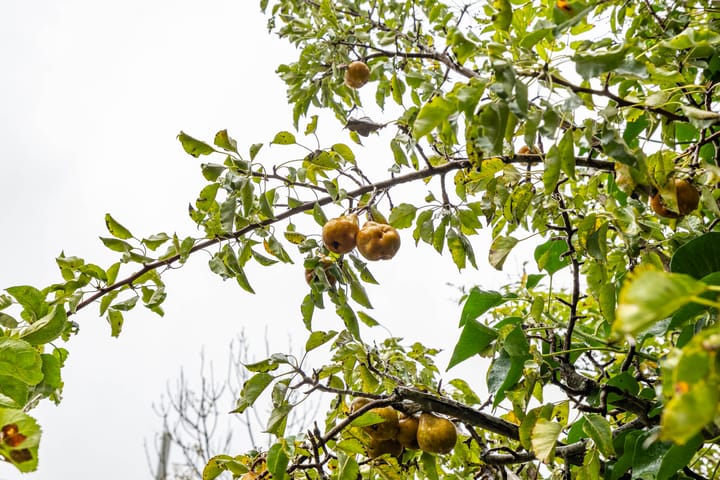 Foto 15 van Breitnerstraat 47