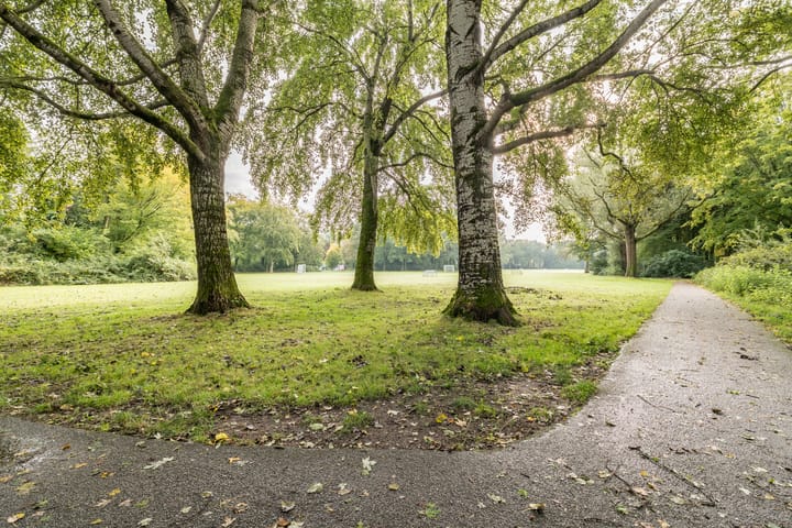 Foto 39 van Mainstraat 28