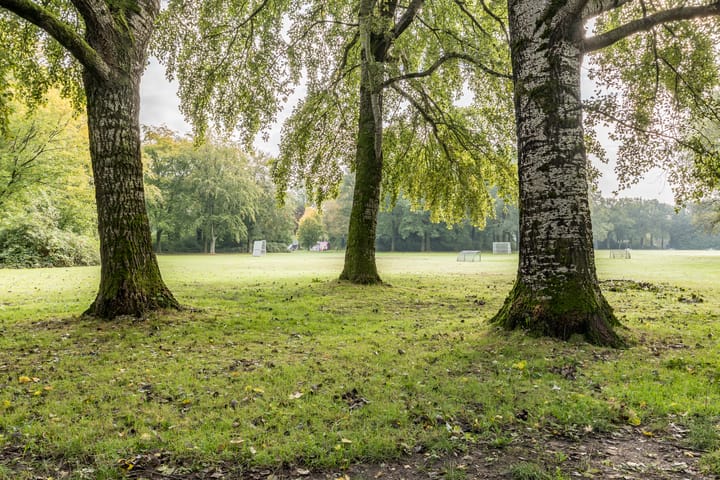 Foto 40 van Mainstraat 28