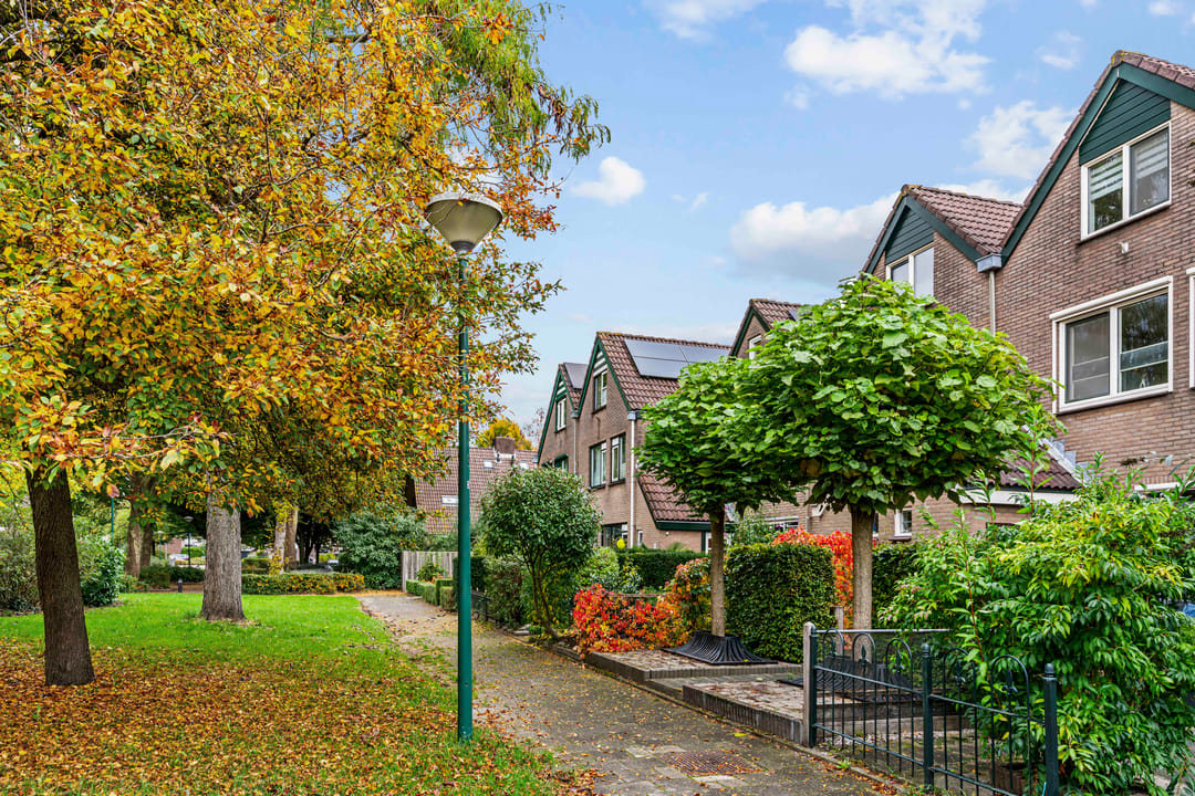 Foto 31 van Mandenmakerslaan 50