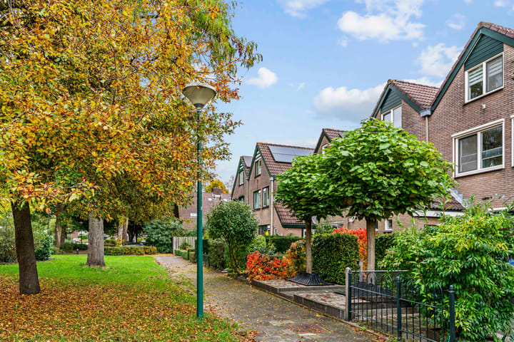 Foto 31 van Mandenmakerslaan 50