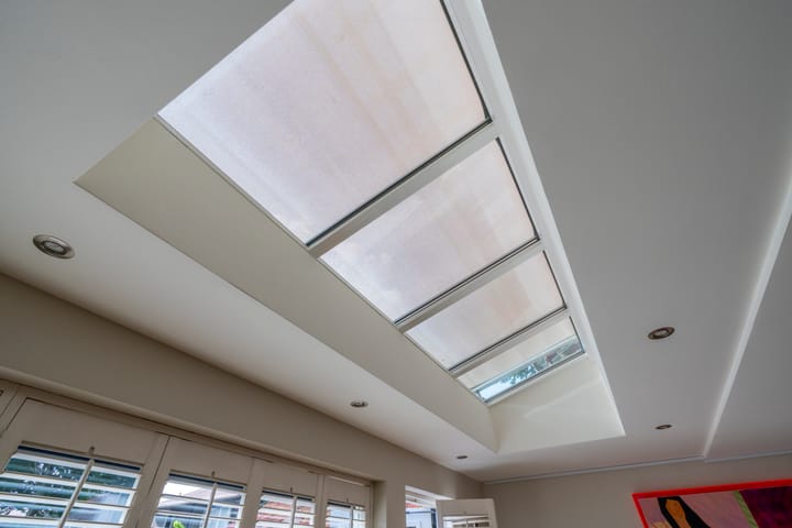 Foto 18 van Dwergbieslaan 124