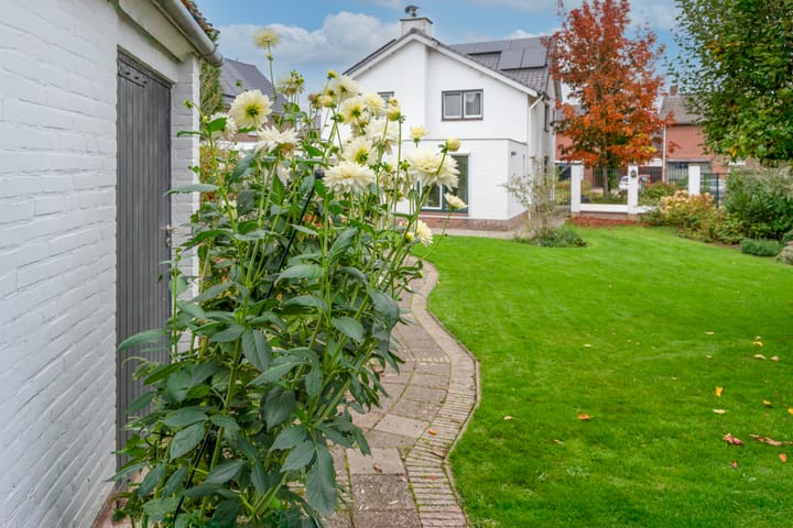 Foto 46 van Looiwinkelstraat 30