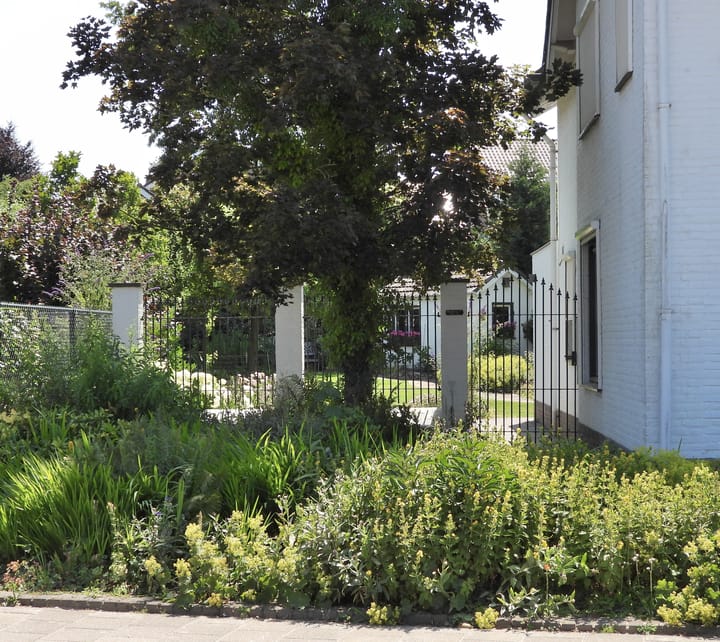 Foto 47 van Looiwinkelstraat 30