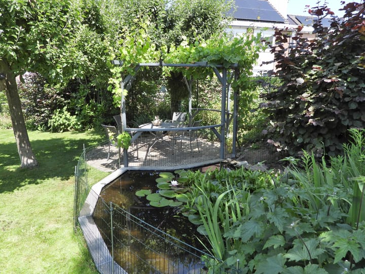 Foto 48 van Looiwinkelstraat 30