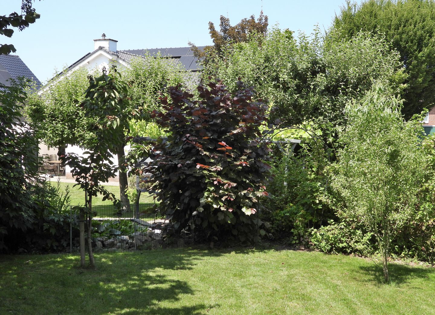 Foto 49 van Looiwinkelstraat 30