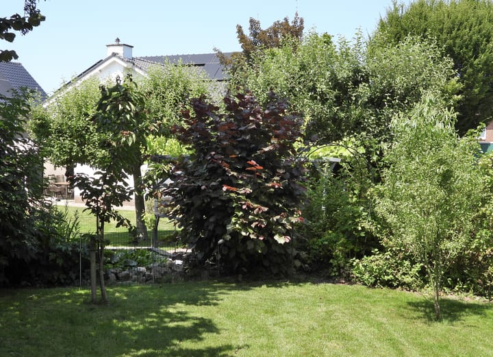 Foto 49 van Looiwinkelstraat 30